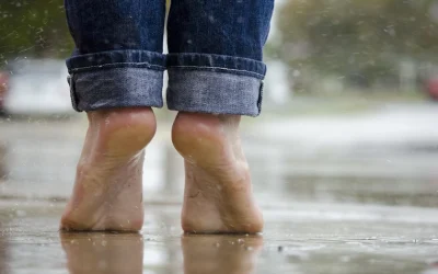 La felicidad posible