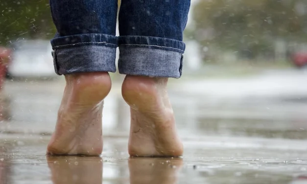 La felicidad posible