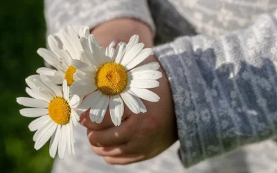 La gratitud es un tesoro