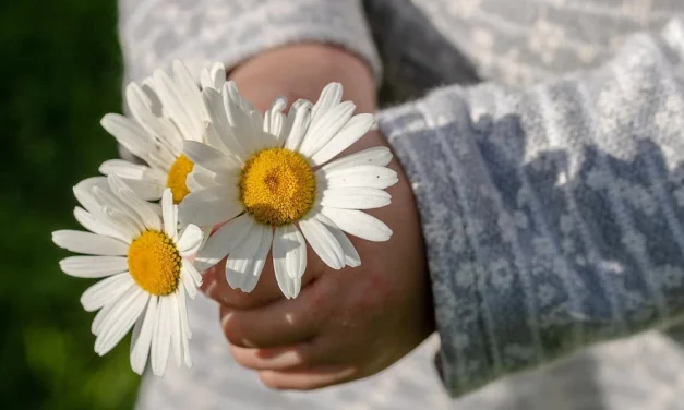 La gratitud es un tesoro