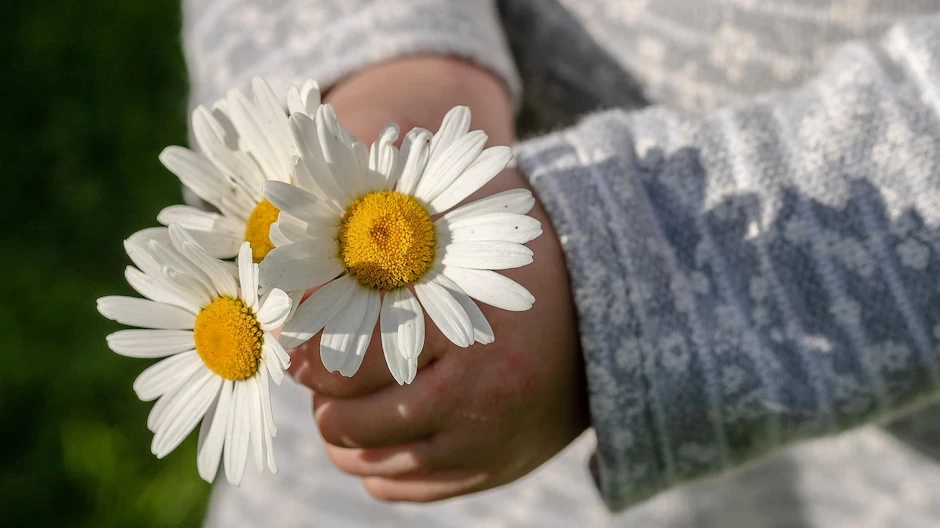 La gratitud es un tesoro