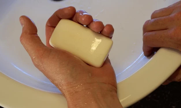 Cuesta poco y rinde mucho