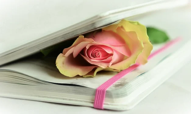 Alda Merini: salir del infierno