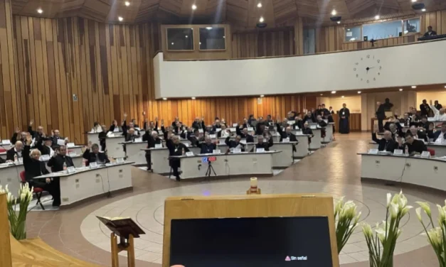 Sinodalidad y construcción de paz para la 119 Asamblea de obispos de México