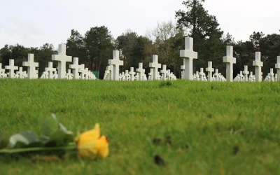 Obispos de México: «Exigimos a las autoridades combatir… el verdadero crimen»