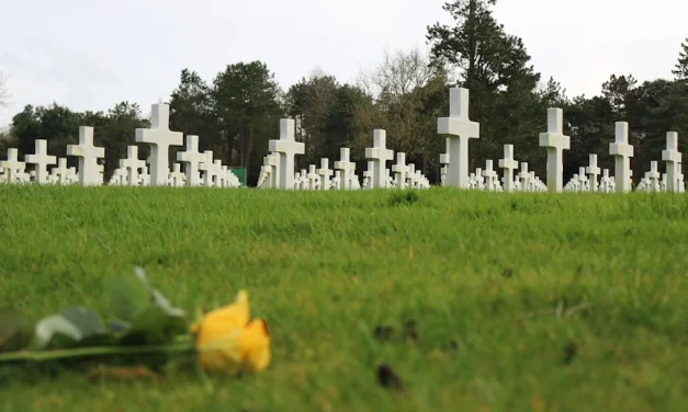 Obispos de México: «Exigimos a las autoridades combatir… el verdadero crimen»