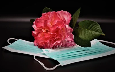 Algunos santos y las epidemias