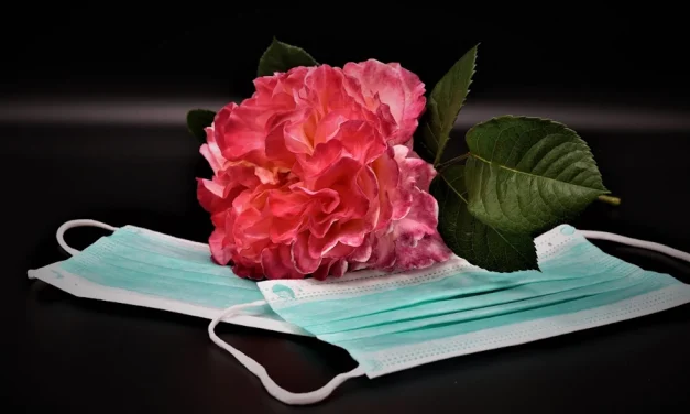 Algunos santos y las epidemias