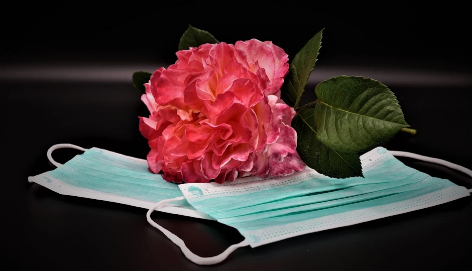 Algunos santos y las epidemias