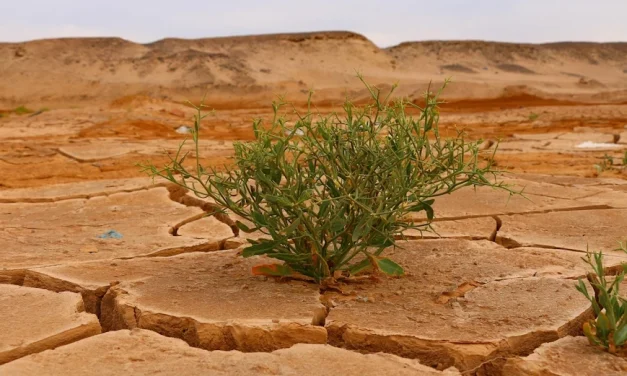 El clima y lo que depende de nosotros