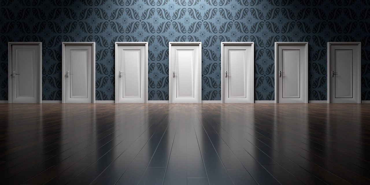 Ante el exceso de alternativas