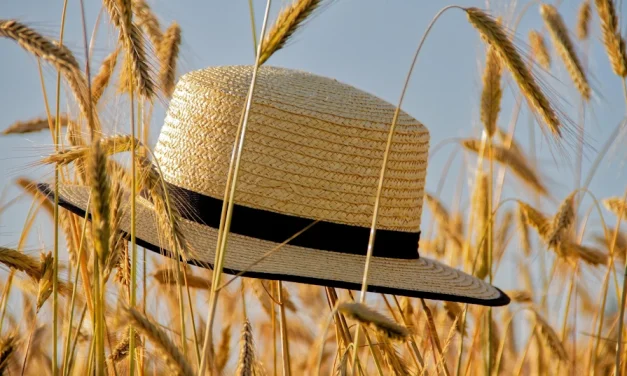 El sombrero y la amanecida