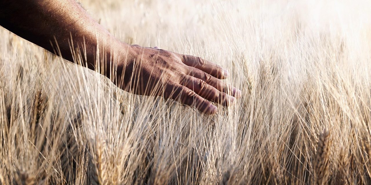 Reiniciar la economía: el Año Jubilar como «shabat» del mundo