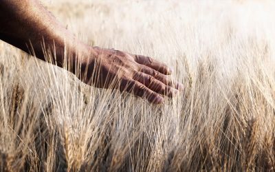 Reiniciar la economía: el Año Jubilar como «shabat» del mundo