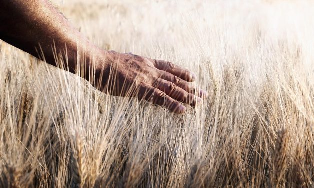 Reiniciar la economía: el Año Jubilar como «shabat» del mundo
