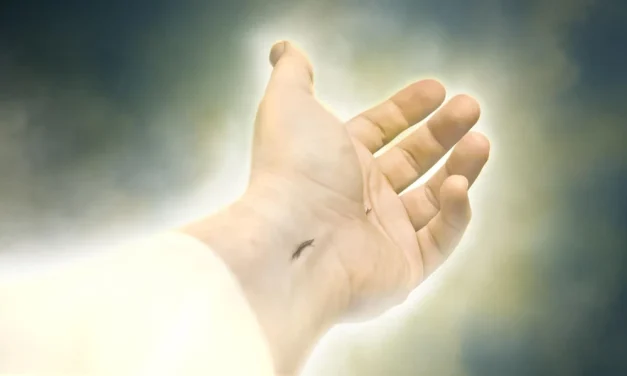  “Si morimos por cristo, viviremos con Cristo”