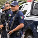 la seguridad y el estado