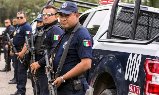 La seguridad y el Estado