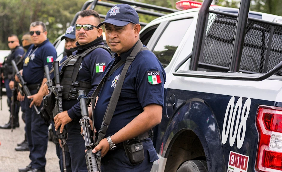 La seguridad y el Estado