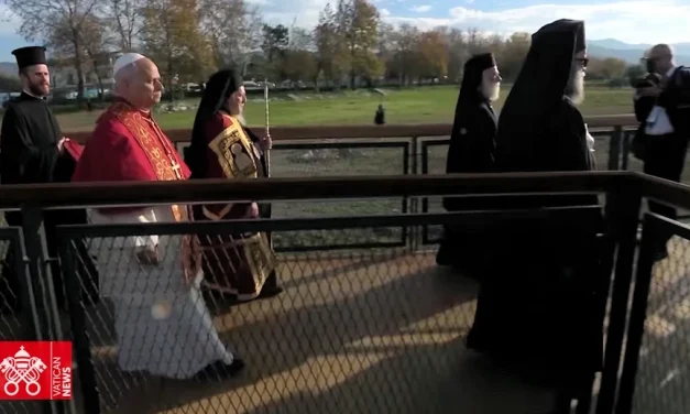 La semana del Papa León XIV