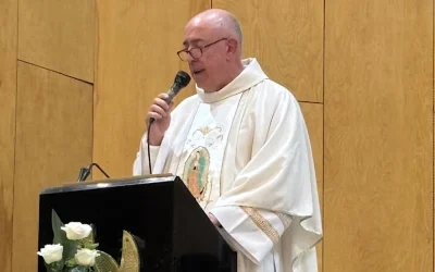 Camino de 25 años sacerdotales