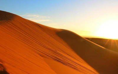 El amor fruto de la conversión del corazón