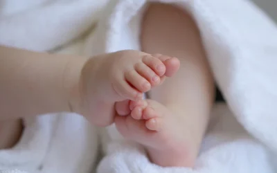 Seremos saciados con la visión de la Palabra