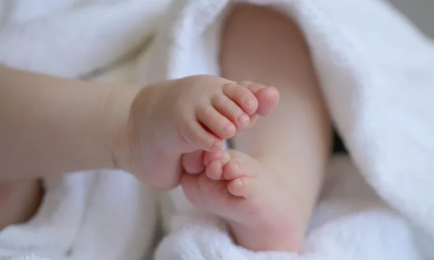 Seremos saciados con la visión de la Palabra