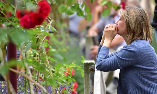 El amor fruto de la conversión del corazón