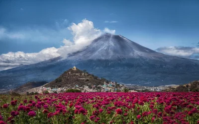 Obispos de México llaman a la esperanza y la reconciliación en Mensaje Navideño