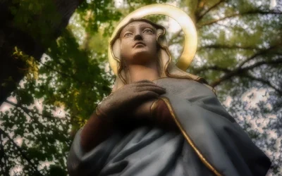 ¿Ni corredentora ni mediadora?