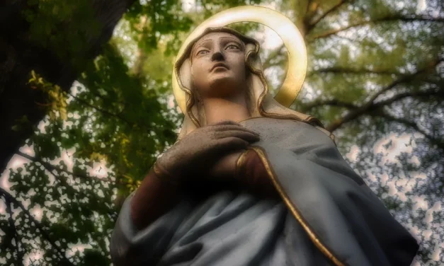 ¿Ni corredentora ni mediadora?