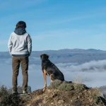 ¿Nos acompañarán nuestras mascotas en el cielo? nos acompanan mascotas