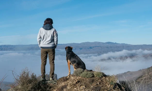 ¿Nos acompañarán nuestras mascotas en el cielo?