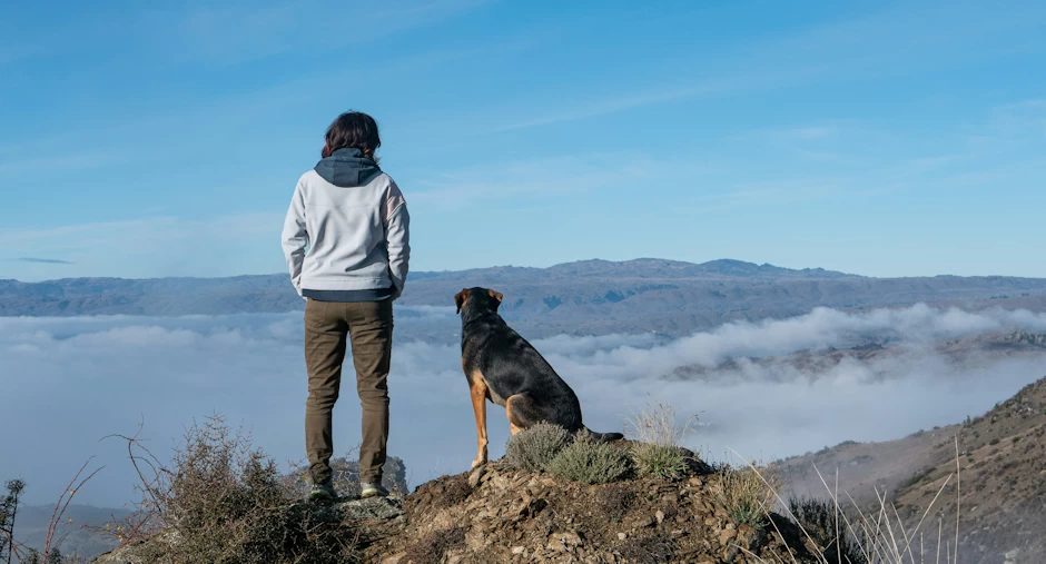 ¿Nos acompañarán nuestras mascotas en el cielo?