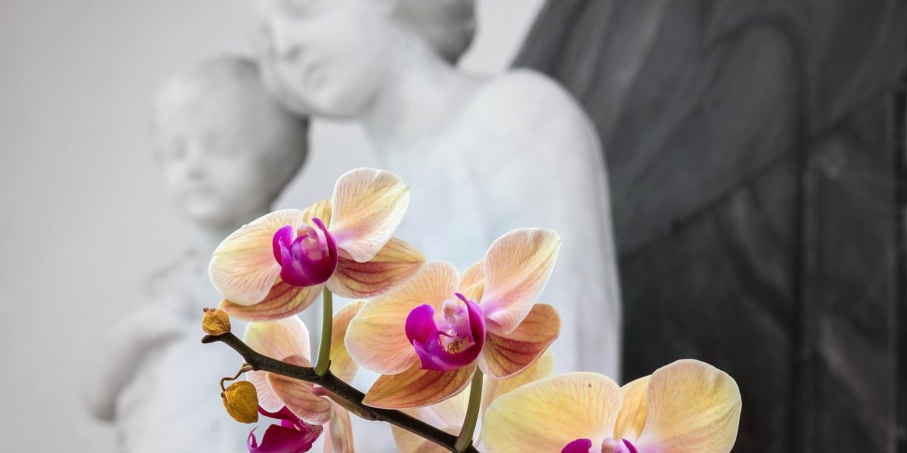 Fomentar una devoción sólida a la Virgen María