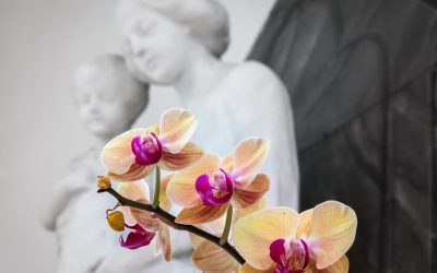 Fomentar una devoción sólida a la Virgen María