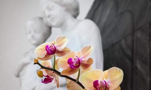 Fomentar una devoción sólida a la Virgen María