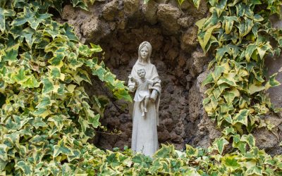 Solemnidad de María Madre de Dios