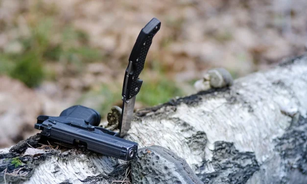 Arzobispo Garfias cuestiona trabajos del Plan Michoacán y aclara participación en evento de desarme