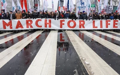 El Papa: Respetar la sacralidad de la vida es fundamento de la sociedad