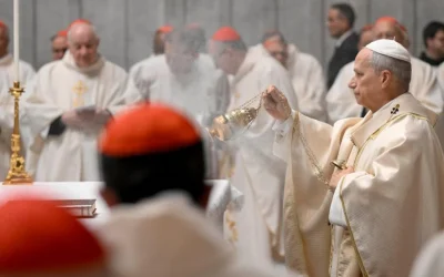 León XIV: el Consistorio, una pausa para discernir juntos al servicio del Pueblo de Dios