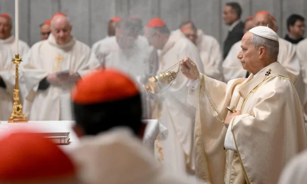 León XIV: el Consistorio, una pausa para discernir juntos al servicio del Pueblo de Dios