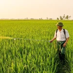 agriculture-9939844_1280