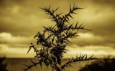 Cárcel, tortura, exilio: “Por qué el régimen de Daniel Ortega se ensaña con los sacerdotes como yo”