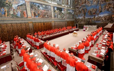 Sinodalidad en discusión