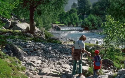 Ayudas en el camino de la vida