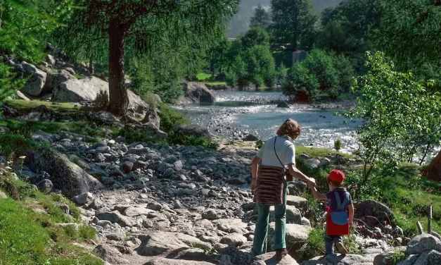 Ayudas en el camino de la vida