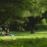 Cuidado de la familia people-5580755_1280