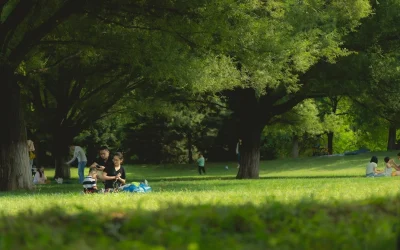 Cuidado de la familia